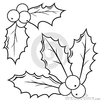 Holly berry sprigs. Vector black and white coloring page. Vector Illustration