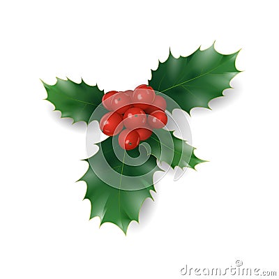 Holly branch with red berries Christmas symbol. Holiday traditional decoration New Year wreath part green leaves Vector Illustration