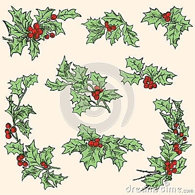 Holly branches with berries Vector Illustration