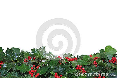 Holly and Ivy footer Stock Photo