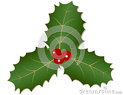 Holly Leaves and Berries Vector Illustration