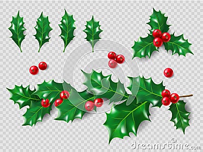 Holly Set. Realistic leaves, branch, red berries. Christmas and New Year decorations. 3d illustration for your layout Vector Illustration