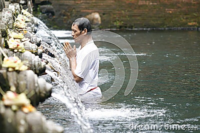 Holly springs in Balinese Tirta Empul Temple Editorial Stock Photo