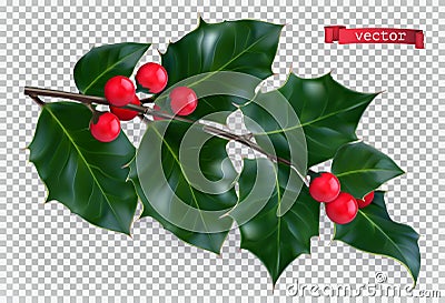 Holly traditional christmas decoration, 3d realistic vector icon Vector Illustration