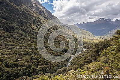 Hollyford Valley in New Zealand Stock Photo