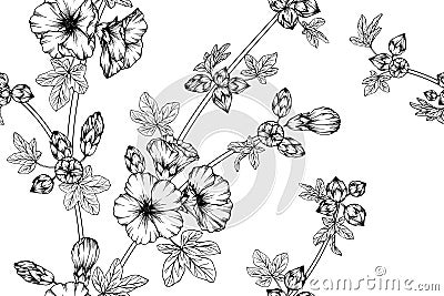 Hollyhock flower and leaves pattern seamless background illustration. Vector Illustration