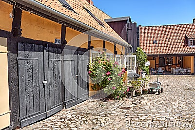 Hollyhocks and roses blossoming in front of the traditional house in Svaneke. Editorial Stock Photo