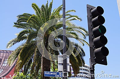 Hollywood BL, sign, palm tree, tree, traffic light, Los Angeles, California, USA, Blue sky Editorial Stock Photo