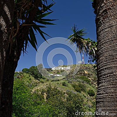 The Hollywood Sign Editorial Stock Photo