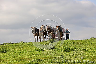 HOLMES COUNTY, OHIO - MAY 19.2015: An Amish man by his tiller a Editorial Stock Photo