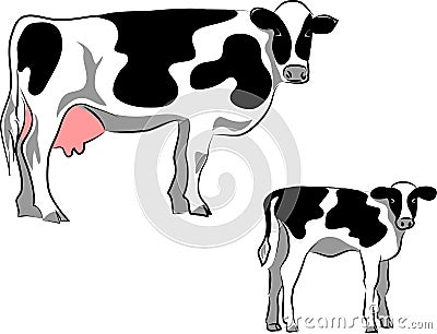 Holstein cattle Vector Illustration