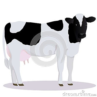 Holstein Friesian cattle Vector Illustration