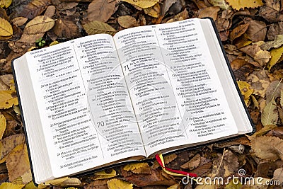 Holy Bible. Open Bible on top of fallen autumn leaves Editorial Stock Photo