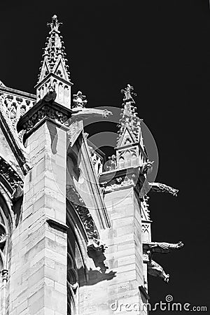 Holy Gargoyles BW Stock Photo