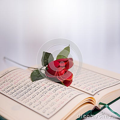 Holy Quran and roses. Stock Photo