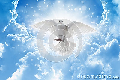 Holy spirit bird flies in skies, bright light shines from heaven Stock Photo