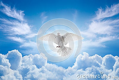 Holy Spirit came down in bodily shape, like dove. Bright light shines from heaven, white dove is symbol of purity and peace Stock Photo