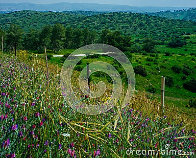 Holy Land Series - Gad Hill5 Stock Photo