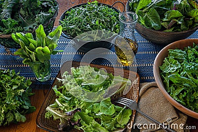 A variety of freshly picked leafy greens ready for salad making Stock Photo