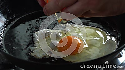 Comida Keto Camarones Fritos Para Dieta Cetogénica Preparar Salsa Para  Pasta Mariscos Camarones Chisporroteando En Sartén Almacen De Video - Vídeo  de gamba, ingrediente: 213669171