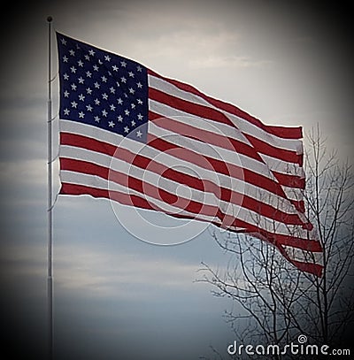 Home of the brave flag Stock Photo