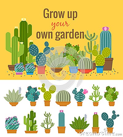 Home cactus garden poster Vector Illustration