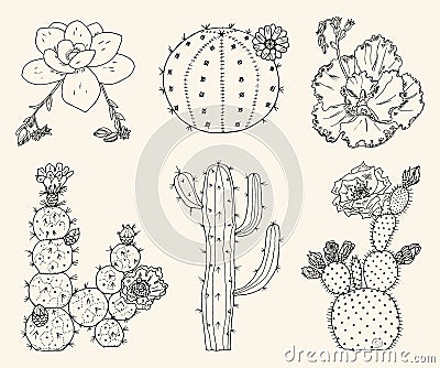 Home cactus plants and flowers. Set of cozy cute elements. Collection of Exotic or tropical succulents with prickles Vector Illustration