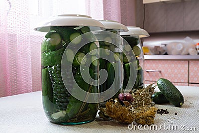 Home canning homemade canned cucumbers salted harvesting vegetables for the winter Stock Photo