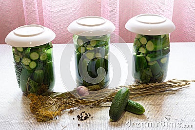 Home canning homemade canned cucumbers salted harvesting vegetables for the winter Stock Photo