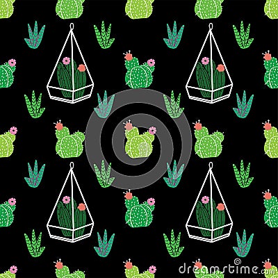 Succulents, cactuses and other plants growing in florariums Vector Illustration