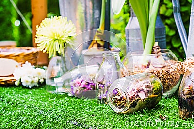 Home decoration idea, a terrarium garden scene in a clear bottle Stock Photo