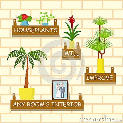 Home flowers for interior Vector Illustration