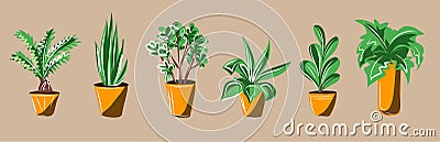 Home flowers in pots. Different types of plants in vases. The interior and decor. Vector isolated Vector Illustration