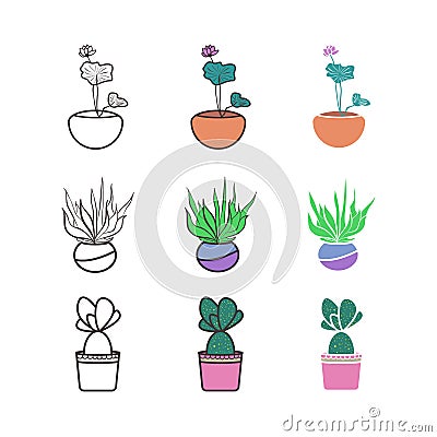 Home flowers in pots. Vector Illustration Vector Illustration