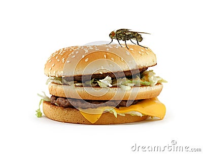 Home fly sitting on appetizing hamburger Stock Photo