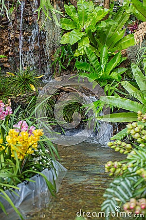 home garden backyard waterfall green nature zone Stock Photo