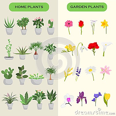 Home and garden flowers color flat icons set Vector Illustration