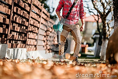 home gardening with leaf vacuum and blower Stock Photo