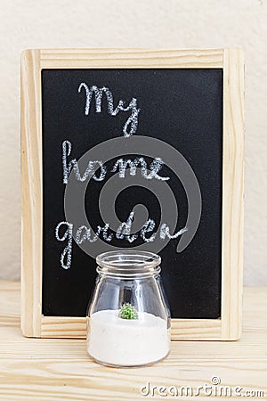 Home gardening. A small prickly green cactus grows in a glass jar in the sand on the wooden table Stock Photo