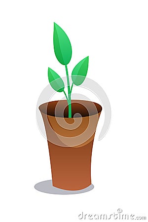 Home green plant flat vector illustration. Indoor flower in brown pot Vector Illustration