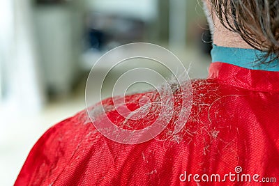 Home hairdresser cutting mans hair at home during quarantine. Grey hair on shoulders Stock Photo
