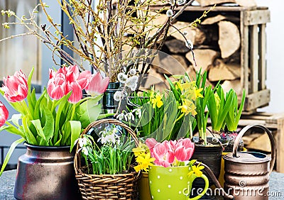 Home interior easter decoration with spring flowers Stock Photo