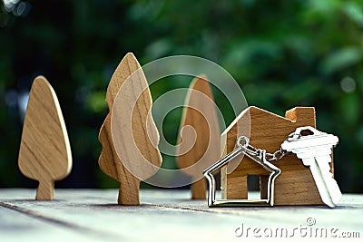 Home key with house keychain and wooden treen and home mock up on vintage wood background, property concept Stock Photo