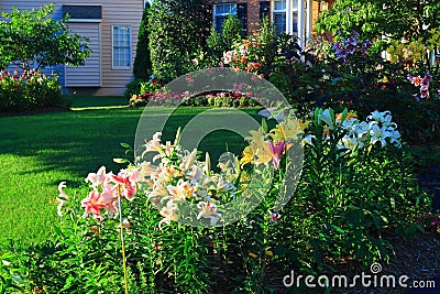 Home Landscaping Stock Photo