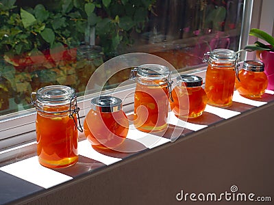 Home made apricot jam Stock Photo