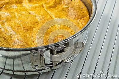 Home made baked cake in a springform Stock Photo