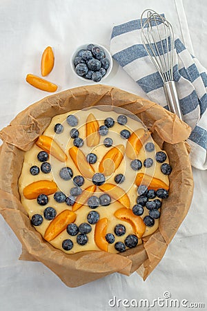 Home made blueberry vanilla cake with apricots Stock Photo