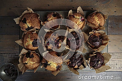 Home Made Cranberry Chocolate Muffins Stock Photo