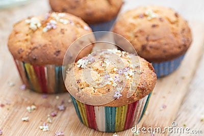 Four elderflower muffins in colourful cases Stock Photo