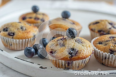Home made vanilla blueberry muffins Stock Photo